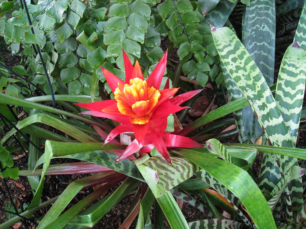 Michigans West Coast 2009 0615.jpg - Labor Day 2009. A trip along Michigans west coast to see beachs, art and buffets.